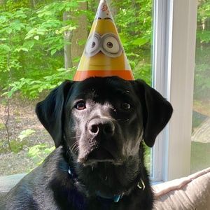 Meet your Posher, Melanie